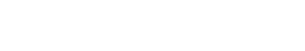 StreetPulse Foundation